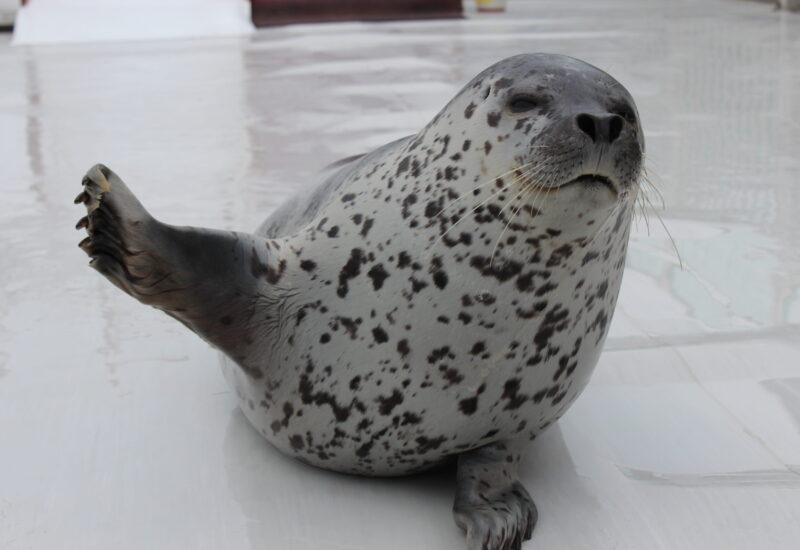 360885e2e1ab3a69d49fb03d4123dcc6-scaled-800x550