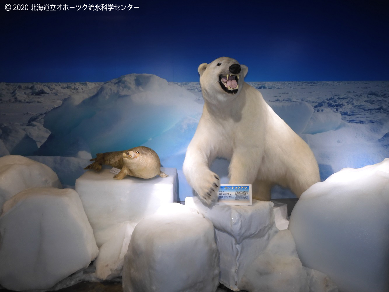 3b6c22447405fa5c756c3804c0d5f16a