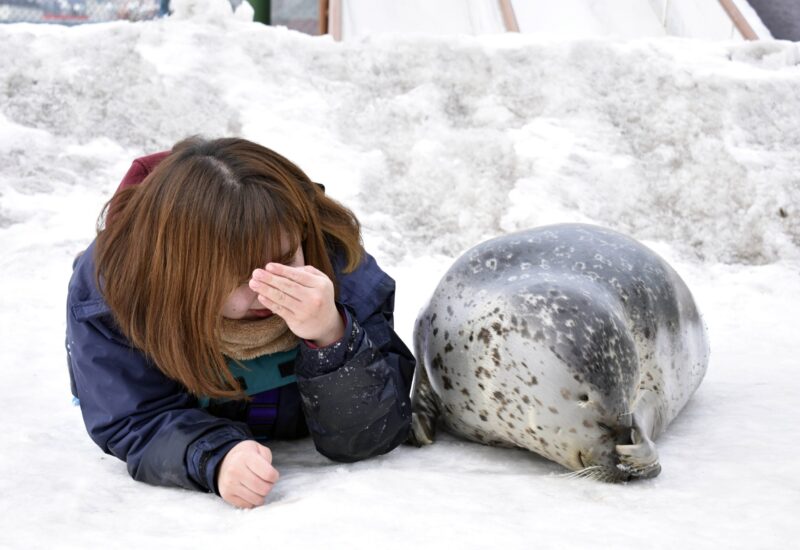 Image92-scaled-800x550