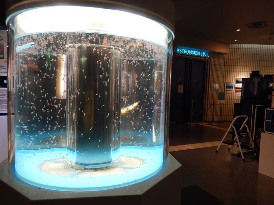 d20b2329c48030dfbdf734b9a765f223fc00230a269c7e023479c5471d634fd0